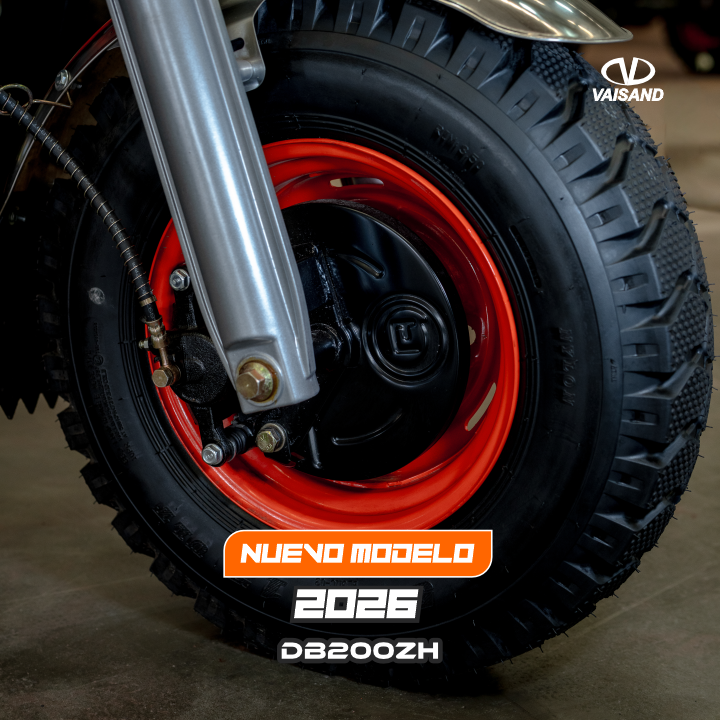 Freno de disco DB200ZH